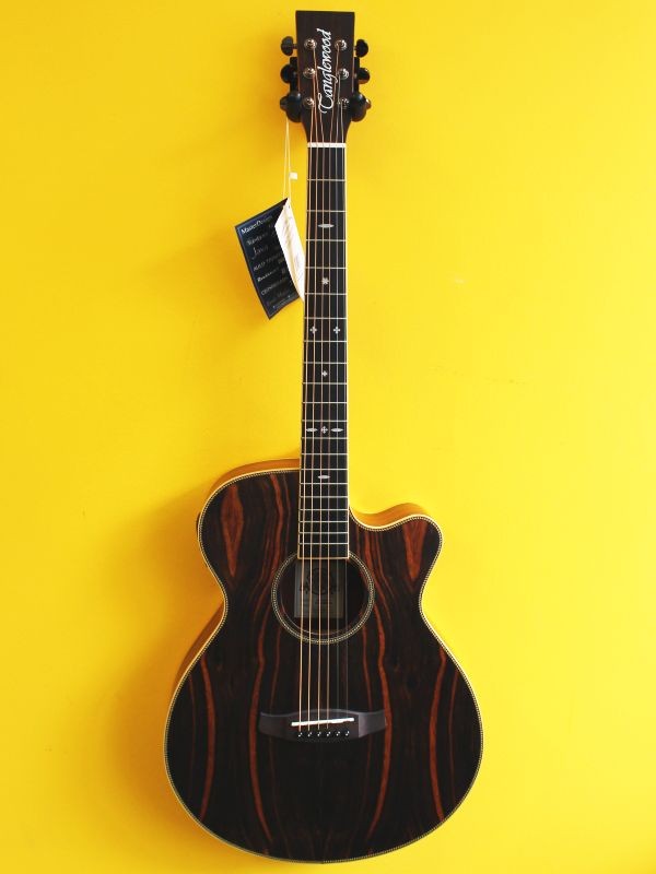 Tanglewood TRU4SFCE AE Reunion Electroacoustic Folk Guitar